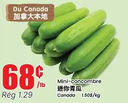 Btrust Supermarket Mini-concombre offer