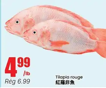 Btrust Supermarket Tilapia rouge offer