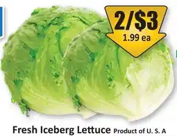 Starsky Fresh Iceberg Lettuce offer