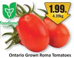 Starsky Roma Tomatoes offer