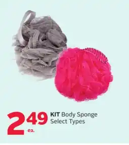 Rexall KIT Body Sponge offer