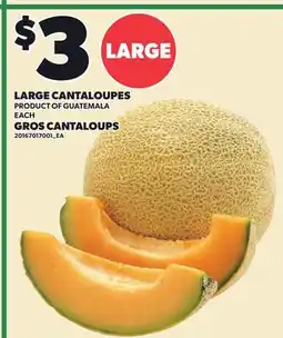 Independent City Market LARGE CANTALOUPES offer