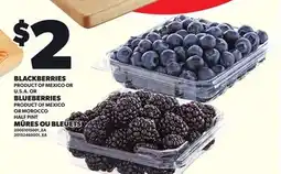 Independent City Market BLACKBERRIES, BLUEBERRIES, HALF PINT offer