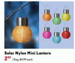 Sheridan Nurseries Solar Nylon Mini Lantern offer