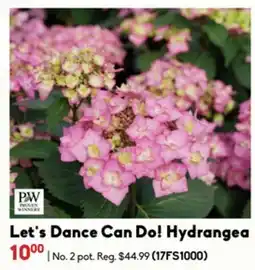 Sheridan Nurseries Let's Dance Can Do! Hydrangea offer