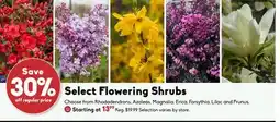 Sheridan Nurseries Flowering shrubs offer
