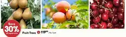 Sheridan Nurseries Fruit Trees offer