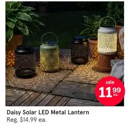 Kitchen Stuff Plus Daisy Solar LED Metal Lantern offer