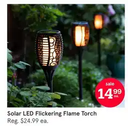Kitchen Stuff Plus Solar LED Flickering Flame Torch offer