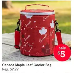 Kitchen Stuff Plus Canada Maple Leaf Cooler Bag offer