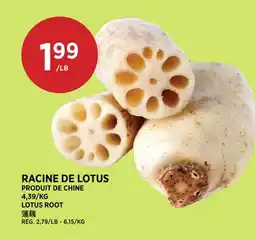 Kim Phat LOTUS ROOT offer