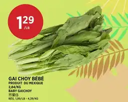 Kim Phat BABY GAICHYOY offer