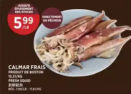 Kim Phat FRESH SQUID offer