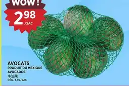 Kim Phat AVOCADOS offer