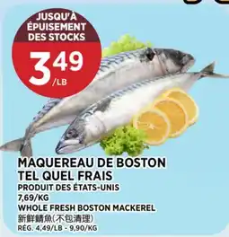 Kim Phat WHOLE FRESH BOSTON MACKEREL offer