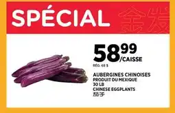 Kim Phat CHINESE EGGPLANTS offer