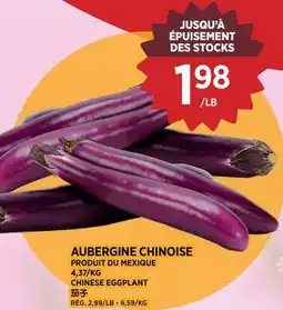 Kim Phat CHINESE EGGPLANT offer