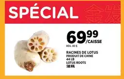 Kim Phat LOTUS ROOTS offer