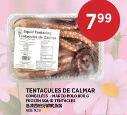 Kim Phat MARCO POLO FROZEN SQUID TENTACLES offer