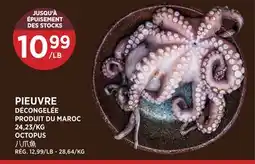 Kim Phat OCTOPUS offer