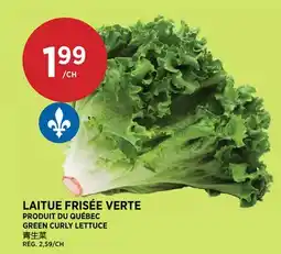 Kim Phat GREEN CURLY LETTUCE offer
