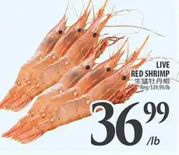 Al Premium Food Mart LIVE RED SHRIMP offer