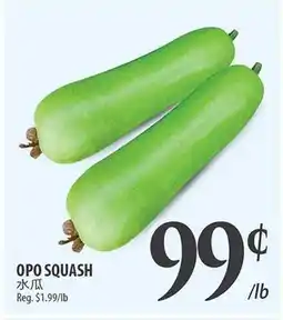 Al Premium Food Mart OPO SQUASH offer