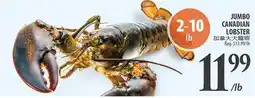Al Premium Food Mart JUMBO CANADIAN LOBSTER offer