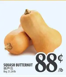 Al Premium Food Mart SQUASH BUTTERNUT offer