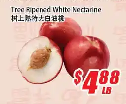 WinCo Food Mart Tree Ripened White Nectarine offer