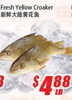 WinCo Food Mart Fresh Yellow Croaker offer