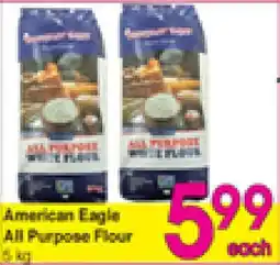 Danforth Food Market American Eagle All Purpose Flour offer