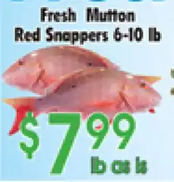 Danforth Food Market Fresh Mutton Red Snappers offer