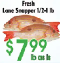 Danforth Food Market Fresh Lane Snapper offer