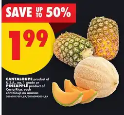 No Frills CANTALOUPE or PINEAPPLE offer