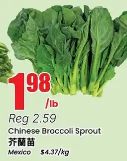 Btrust Supermarket Chinese Broccoli Sprout offer