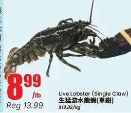 Btrust Supermarket Live Lobster (Single Claw) offer