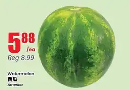 Btrust Supermarket Watermelon offer
