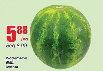 Btrust Supermarket Watermelon offer