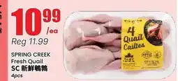 Btrust Supermarket SPRING CREEK Fresh Quail offer
