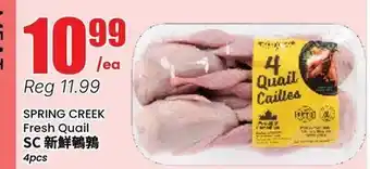 Btrust Supermarket SPRING CREEK Fresh Quail offer