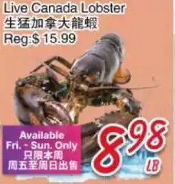 Foody Mart Live Canada Lobster offer