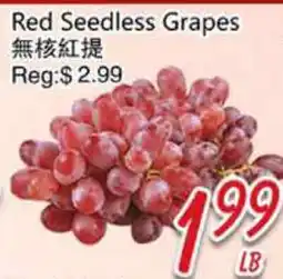 Foody Mart Red Seedless Grapes offer