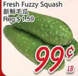 Foody Mart Fresh Fuzzy Squash offer