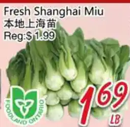 Foody Mart Fresh Shanghai Miu offer