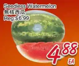 Foody Mart Seedless Watermelon offer