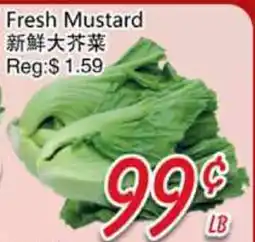 Foody Mart Fresh Mustard offer