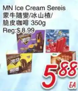 Foody Mart MN Ice Cream Sereis offer