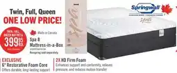 The Brick Springwall Spa 8 Firm Smooth Top Twin Mattress in a Box offer