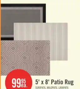 The Brick 5' x 8' Patio Rug offer
